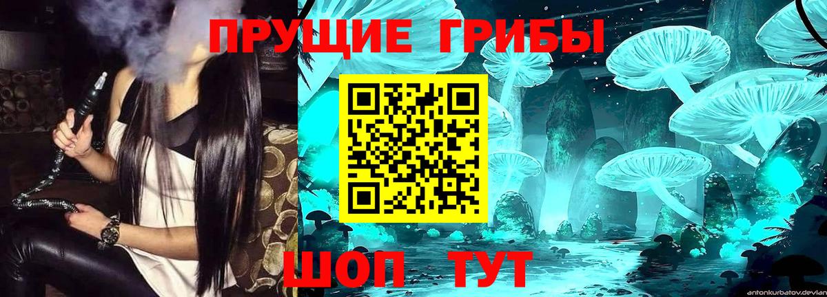 Псилоцибиновые грибы MAGIC MUSHROOMS  Вход с VPN  Псилоцибиновые грибы ЛСД  Краснодар 